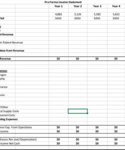 5 Year Pro Forma Income Statement Template Excel